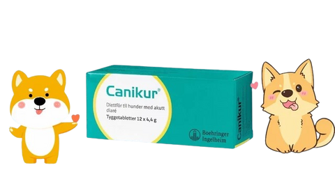 Canikur tyggetabletter 4,4g, 989863