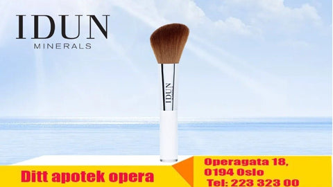 IDUN Minerals Blush Brush, 979265