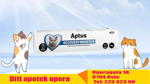 Aptus Recovery Booster Cat 60 g 904160