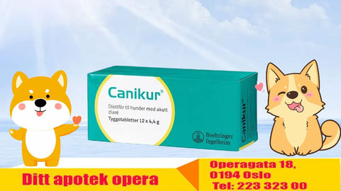 Canikur tyggetabletter 4,4g, 989863