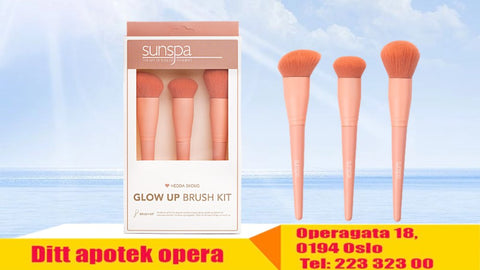 SunSpa Hedda Skoug Glow Up Brush Kit 3 koster, 955553