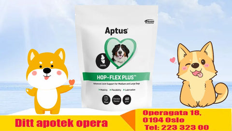 Aptus Hop-Flex Plus 60 stk 954351