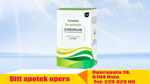 Complete dvergpalme Kaps, 936611