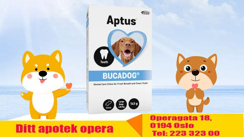 Aptus Bucadog tyggelapper stor hund 141 g, 902123