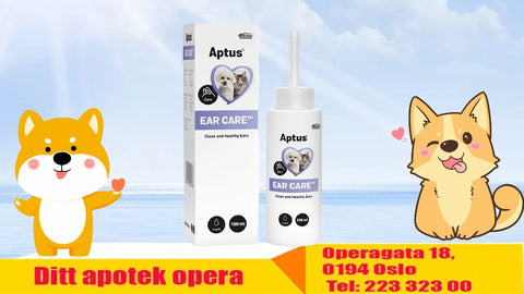 Aptus Ear Care solution 100 ml, 963558