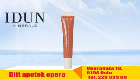 IDUN Minerals Lipgloss Anna, 6ml, 859043