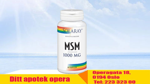 Solaray MSM 1000 mg,  723085