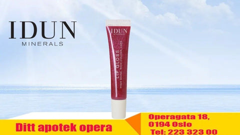 IDUN Minerals Lipgloss Violett, 6ml, 812867