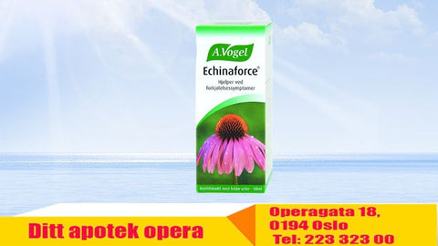 A. Vogel Echinaforce Oppl, 871277