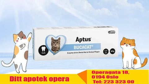 Aptus Bucacat tanngel 45 g 921416